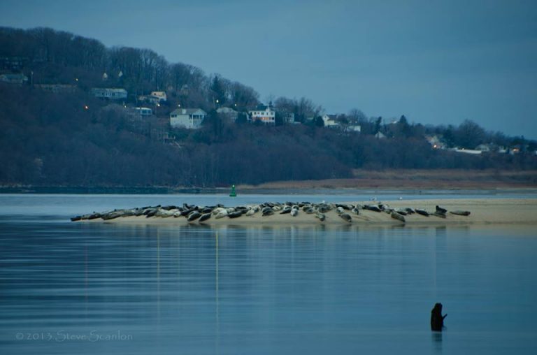  Image courtesy of Steve Scanlon Photography.  