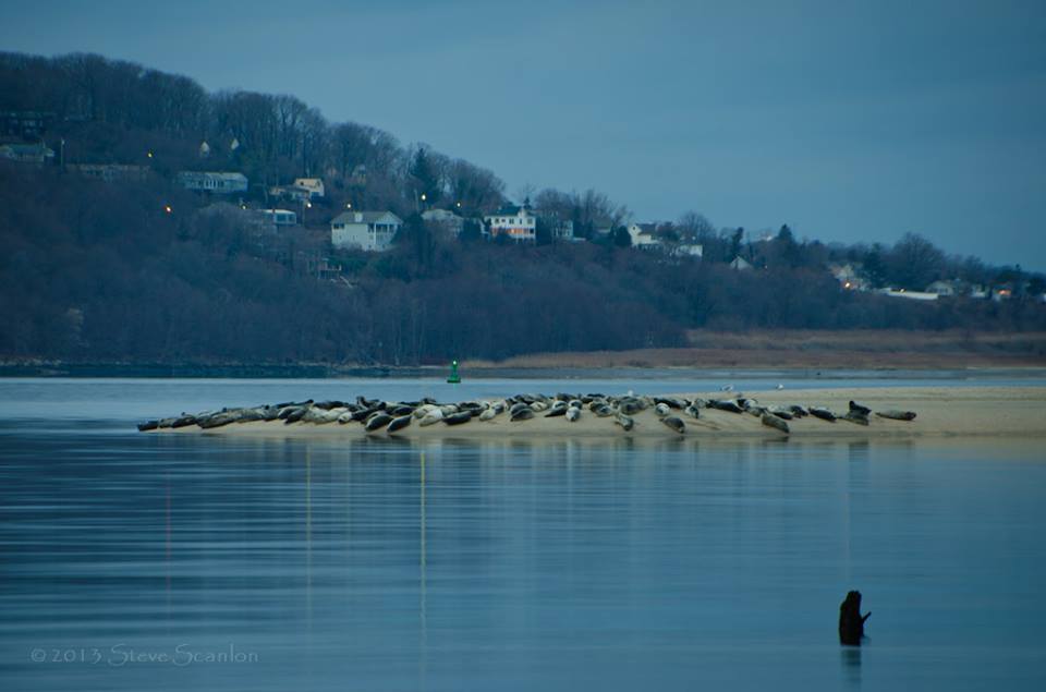  Image courtesy of Steve Scanlon Photography.  