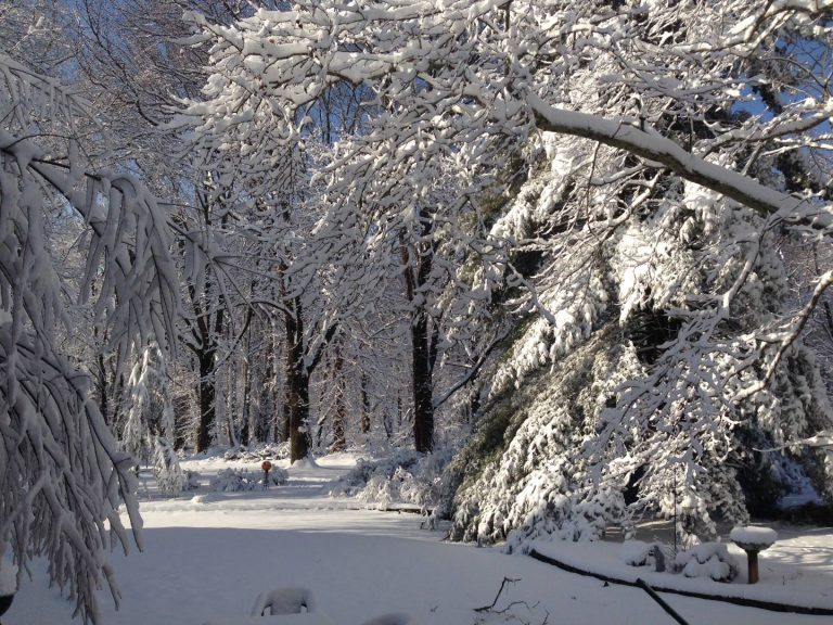  A wintry scene earlier this week in Scotch Plains, NJ by Don Keenan (via Jersey Shore Hurricane News). 