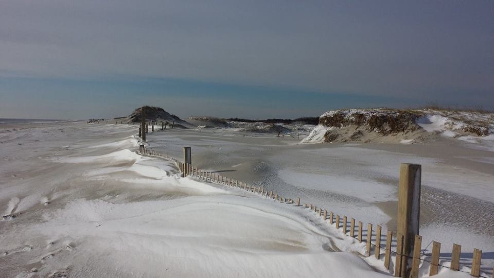 1960213_726714920693373_1182957718_n Island Beach State Park on Sunday. (Photo: Bonnie Delaney via Jersey Shore Hurricane News)