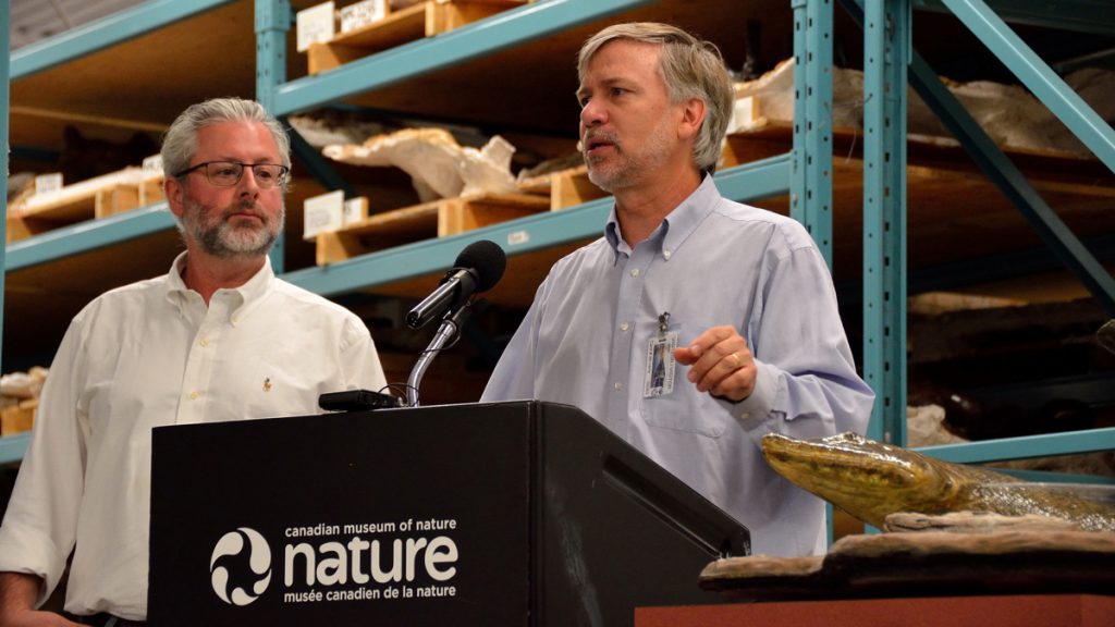 1tiktaalik Drexel paleontologist Ted Daeschler speaks about his discovery of Tiktaalik, a fossil that shows an evolutionary link between fish and land-based animals. (Roger Bull/Canadian Museum of Nature)