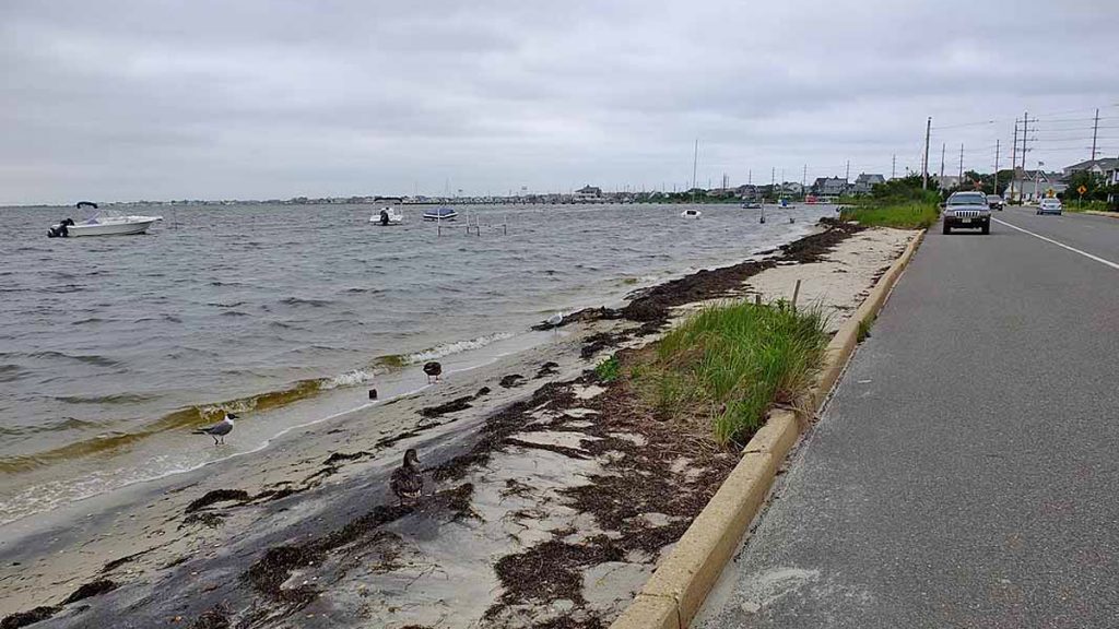 20130725-seaside-park-bay-water-level-close-to-the-road-1200-1 Barnegat Bay on a normal day is almost at the street level in Seaside Heights, NJ. (Alan Tu/WHYY, file)