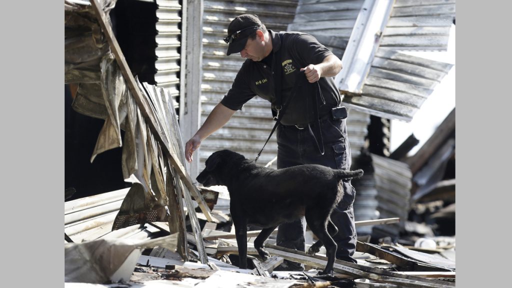 Boardwalk Fire An investigator works with a dog at the scene of the boardwalk fire. (AP Photo/Julio Cortez)