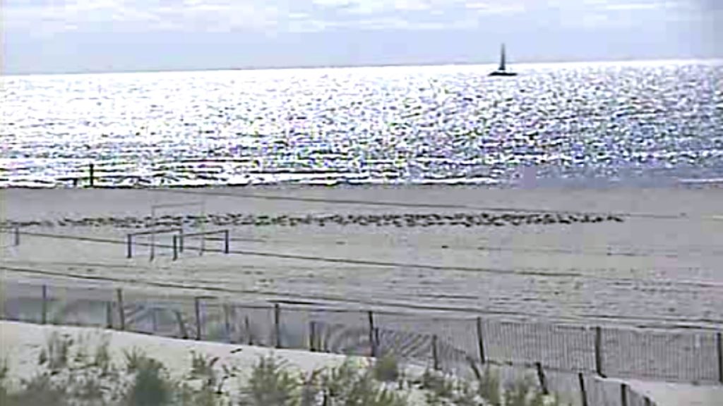  (Image from SurfersView.com) 