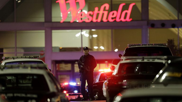  An official walks with a semi-automatic weapon on the parking lot of Garden State Plaza Mall following reports of a shooter last night in Paramus, N.J. (AP Photo/Julio Cortez) 