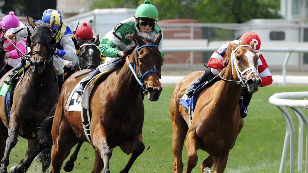 Fair Grounds Horse Racing Horse-racing. (AP Photo/Hodges Photography, Alexander Barkoff)