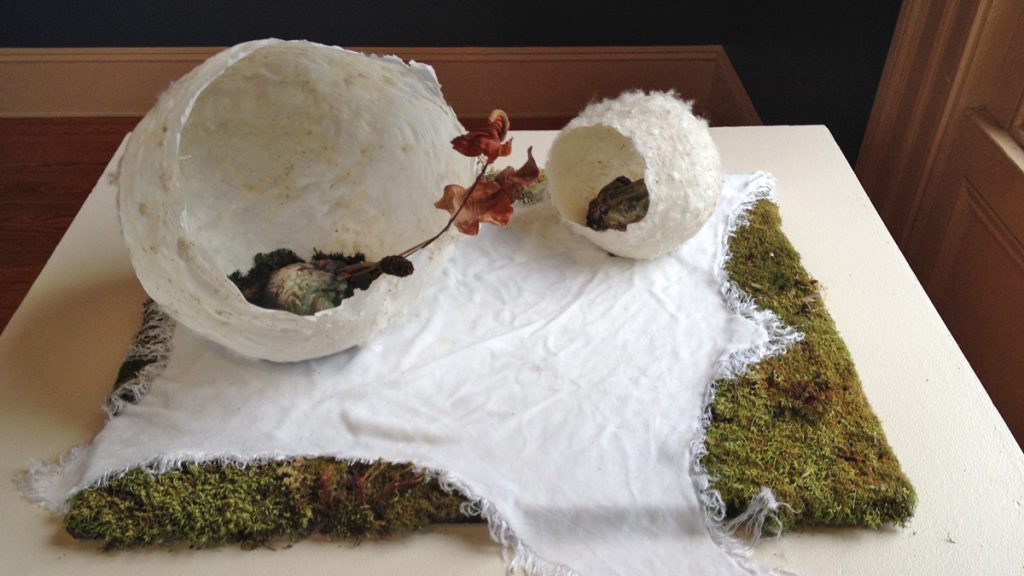 20131218-ilene-1-1200 Joy Kreves’ “Brain Birth” incorporates handmade paper, ceramic, moss and dried plant material. (Ilene Dube/for NewsWorks)