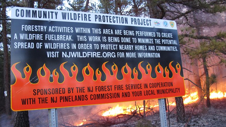  This Feb. 23, 2012 photo shows a prescribed fire in the Pinelands in Lacey Township N.J. (AP Photo/Wayne Parry) 