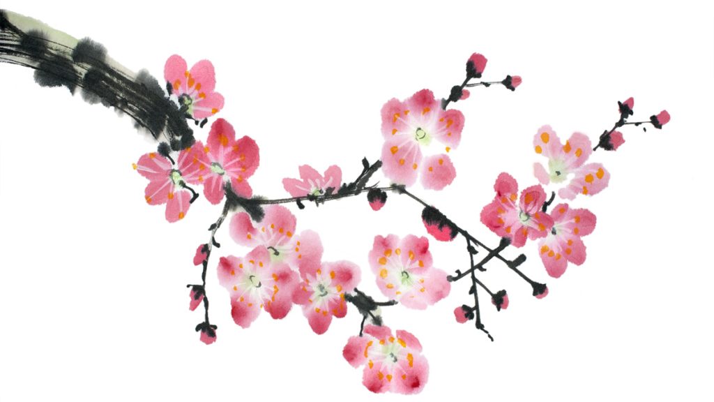 20150402-cherry-blosson-trees-1200