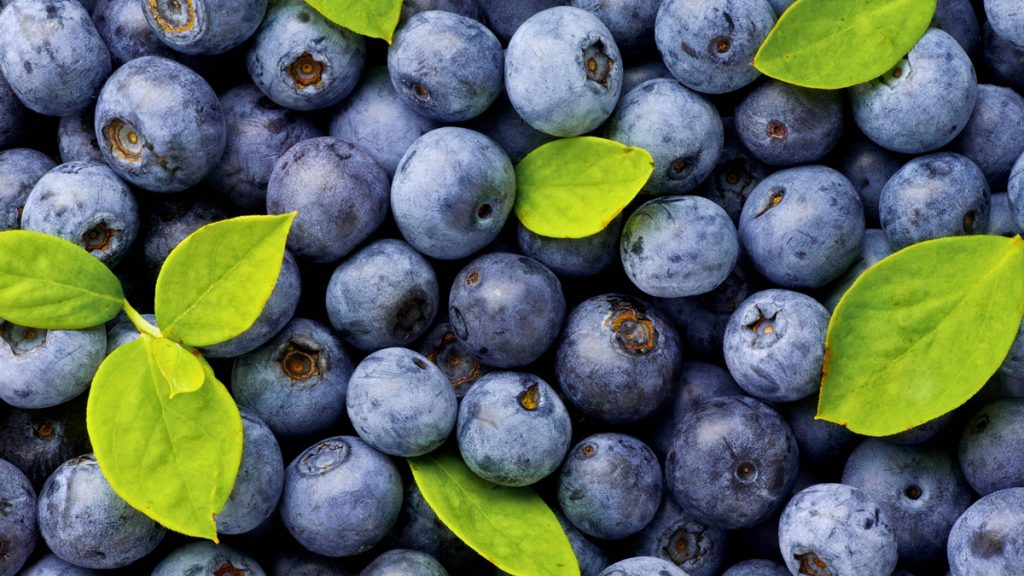 20150609-blueberry-1200