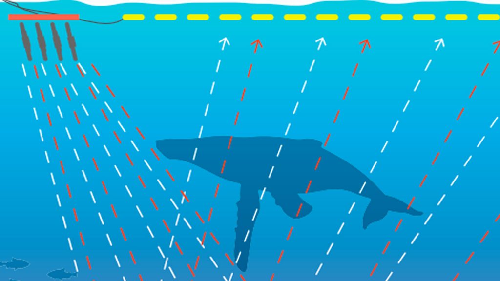 20150705-seismic-blasting-1200 Graphic on sound blasting from Clean Water Action, a group opposed to the underwater survey.