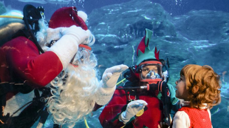  Santa appears inside the aquarium. (Bas Slabbers/for NewsWorks, file) 