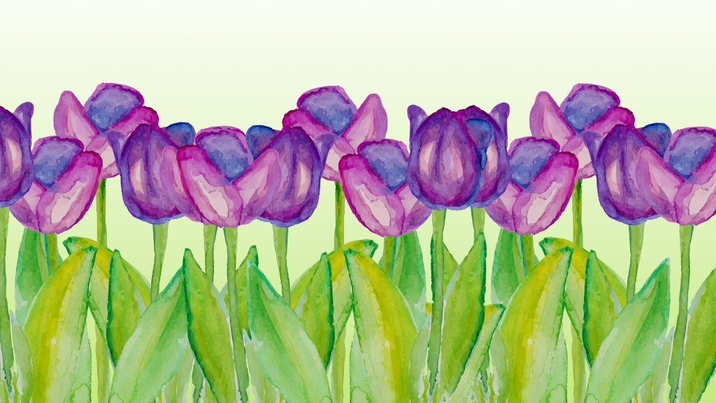 Template with spring flowers with watercolor texture. Spring background with purple tulips. Spring sale. Poster with spring flowers. Vector floral illustration. Spring season.