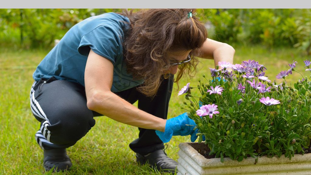 Home Gardening Fertilizers can become harmful to the environment if overused. (Stock photo)