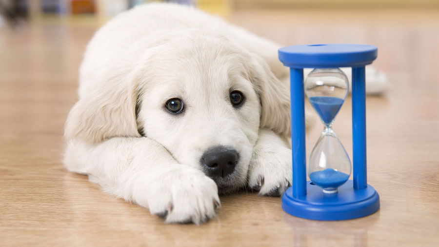 20161017-nj-voter-registration-deadline Oh no. (Big Stock Photo)