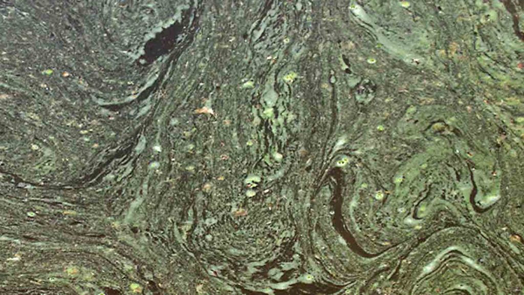 20161213-dirty-pond Dirty pond water (Big Stock photo)