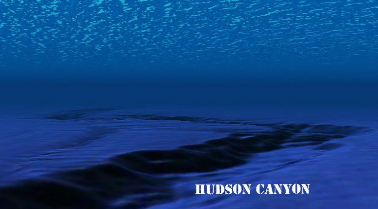 The Hudson is one of the underwater canyons to be protected. (Image Alan Tu/Google Earth)