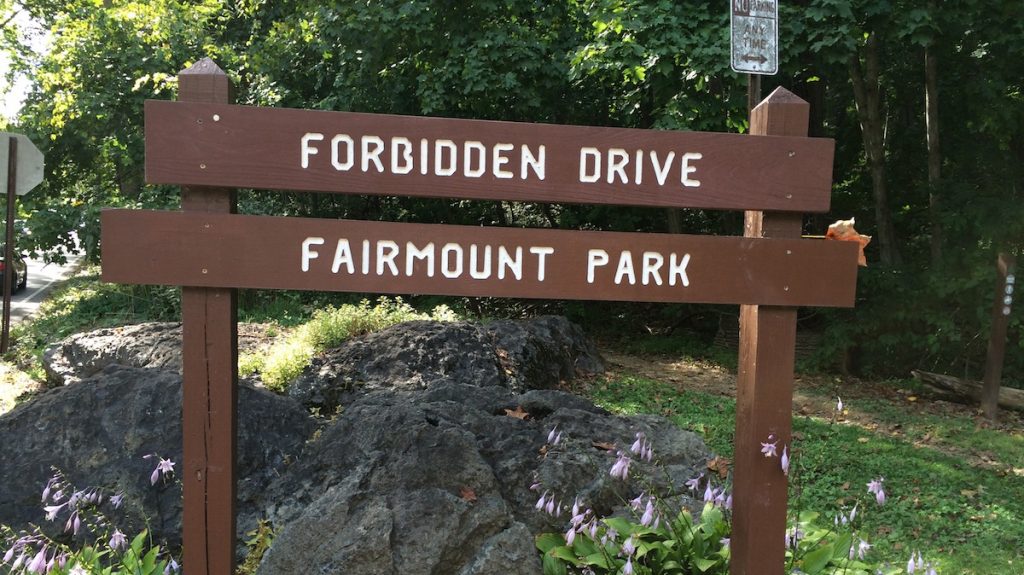 5-copy Head to Forbidden Drive and see what you can find along the trails. (Photo courtesy of Jen Bradley)