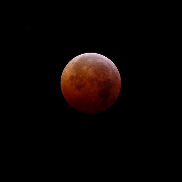  The December 21, 2010 full lunar eclipse. (Photo: Dendroica Cerulea via Flickr) 