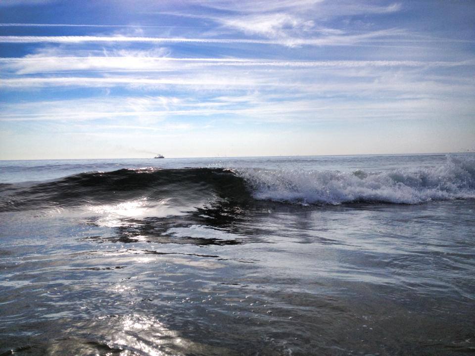 564402_685392501480265_330778214_n Thursday morning in the ocean off South Seaside Park. (Photo: Justin Auciello/for Newsworks)