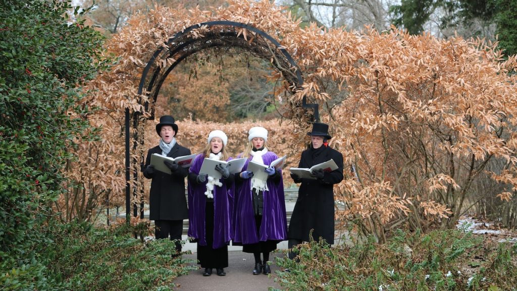 8-2 Carolers at Morris Arboretum. (Natavan Werbock/for NewsWorks)