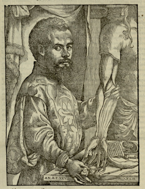 Andreae Vesalii