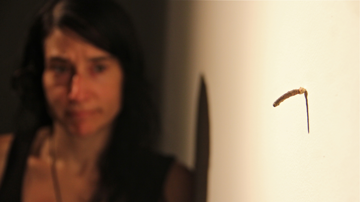  Clara Ursitti's installation at the Esther Klein Gallery, 'A Big Stick of Confidence,' uses scent as an artistic medium. (Emma Lee/WHYY) 
