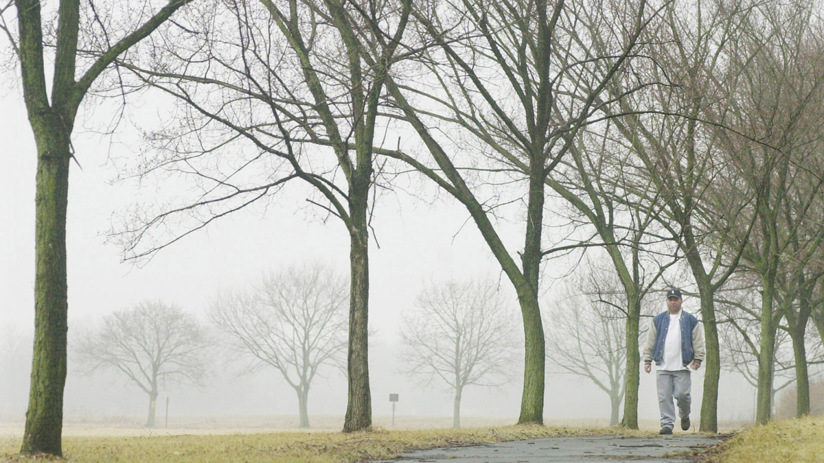  A man walks along a path lined with elm trees in Princeton, N.J. in this file photo. Spring weather has a big downside for allergy sufferers: Tree buds, the first being elms and maples, begin releasing pollen (Daniel Hulshizer/AP Photo, file) 
