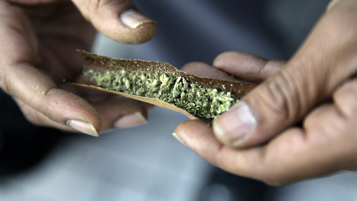A man rolls marijuana as a large group gathered near the New Jersey Statehouse to show their support for legalization Saturday, March 21, 2015, in Trenton, N.J. (Mel Evans/AP Photo, File)