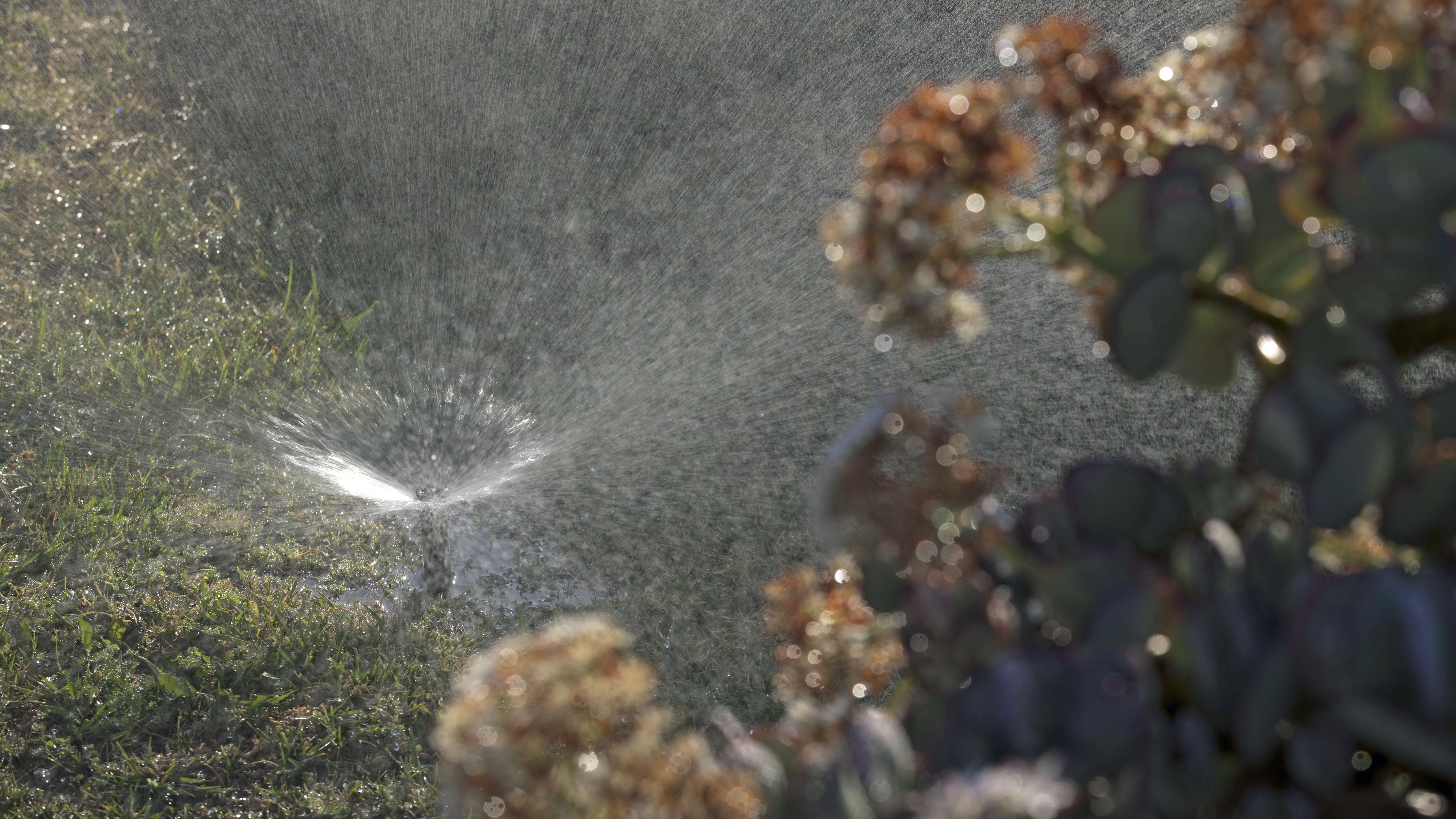 (Jae C. Hong/AP Photo)
