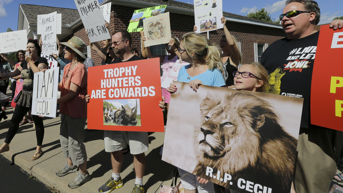 Protesters gather outside Dr. Walter James Palmer's dental office in Bloomington