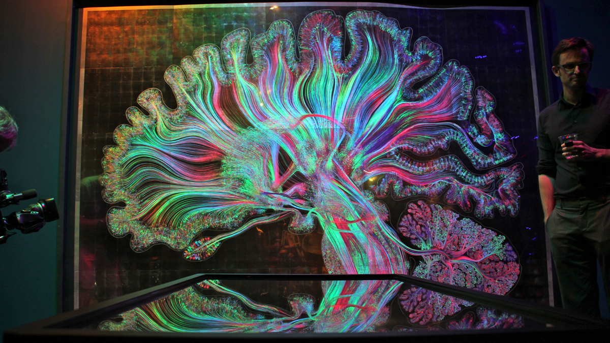 Self Reflected, the creation of two Philadelphia artist/scientists