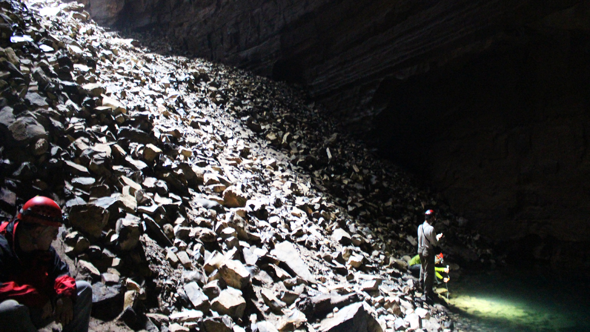  Scientists venture into the depths of a cave to find a new scientific subject. (Courtesy of Nicolas Rohner) 