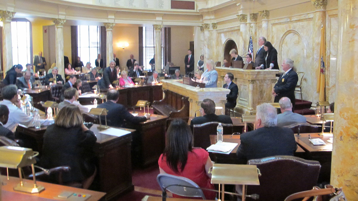 The New Jersey Senate votes Monday to confirm Walter Timpone as the state's latest Supreme Court justice. (Phil Gregory/WHYY)