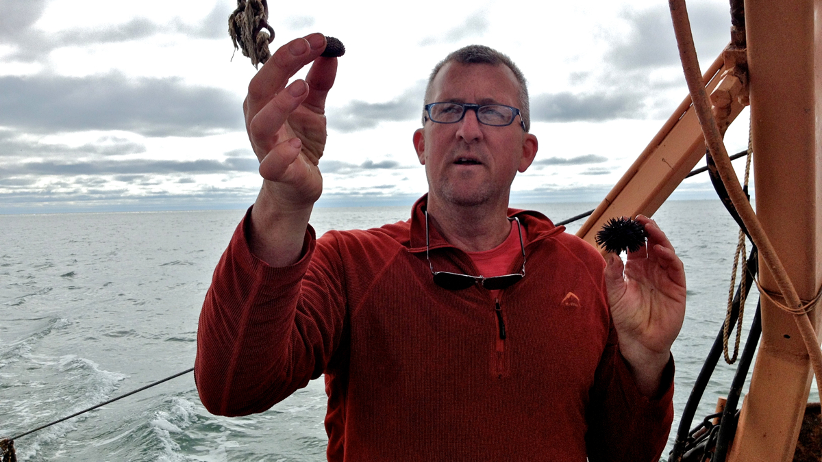 David Remsen aboard the Marine Biological Laboratory's research vessel off the coast of Cape Cod. (Carolyn Beeler/WHYY)