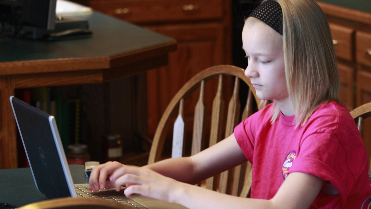 A plan to make online courses available to middle school and high school students in Pennsylvania is before the state House (Orlin Wagner/AP Photo, file) 