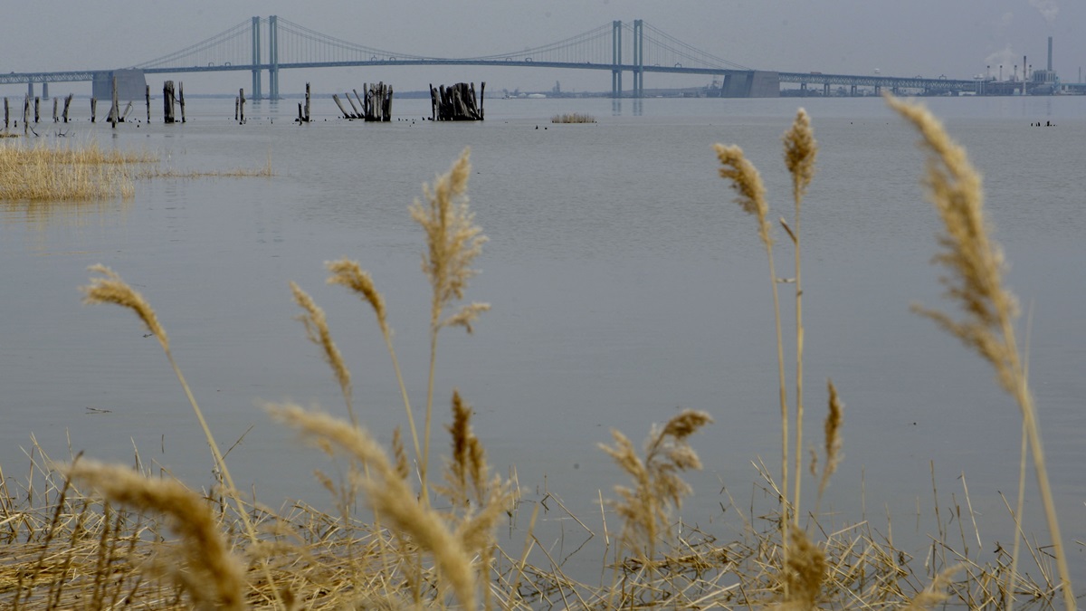  The Delaware River with the Delaware Memorial Bridge in the background seen from the banks of New Castle. (AP Photo/Matt Rourke) 