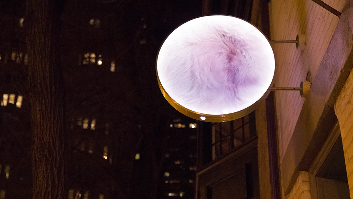  Demetrius Oliver's exhibit Canicular runs January 10 - March 22 from 7-8 p.m. Tuesday - Saturday at The Print Center.  The exhibit is weather permitting.  (Lindsay Lazarski/WHYY)   