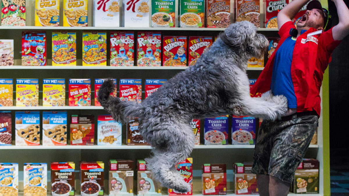  Delaware Theatre Company explores the bond between animals and humans with the new musical, Because of Winn-Dixie, onstage through May 3. Photo by Matt Urban, Mobius New Media. 