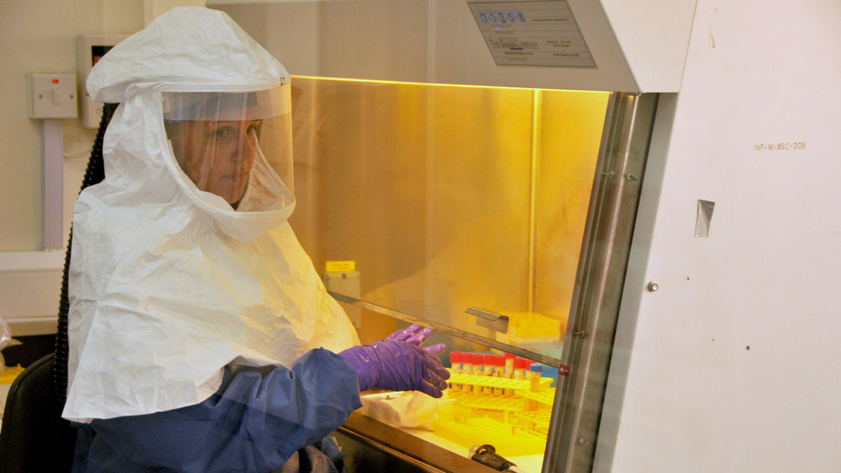 The creation of vaccines is time consuming and costly. Prohibitively so in some cases