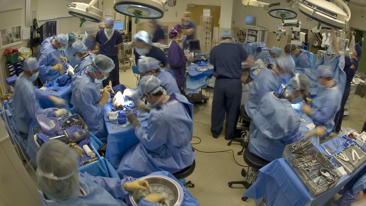  A team of surgeons work on multiple transplants at the University of Pittsburgh Medical Center, in Pittsburgh, Pa. (AP Photo/University of Pittsburgh Medical Center,John McCaulley) 