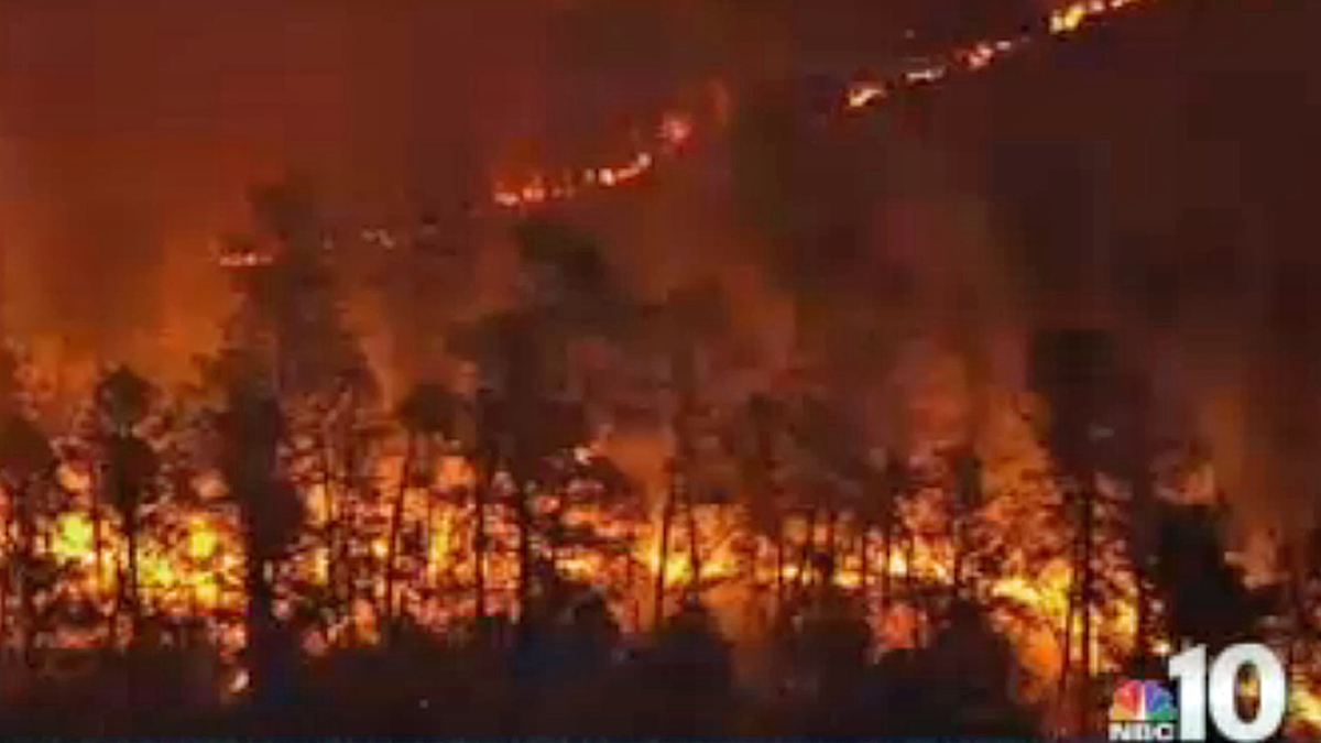  A wildfire burned in Burlington County, New Jersey. (Image via NBC10) 