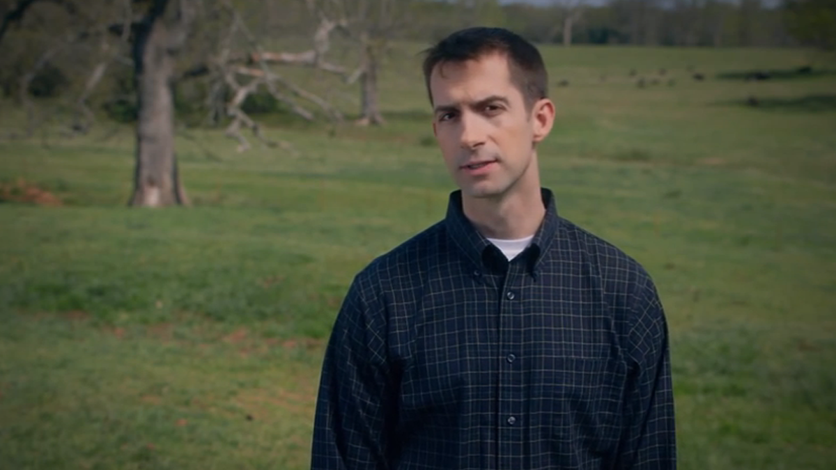  Tom Cotton (Electronic Image via Tom Cotton youtube ad) 