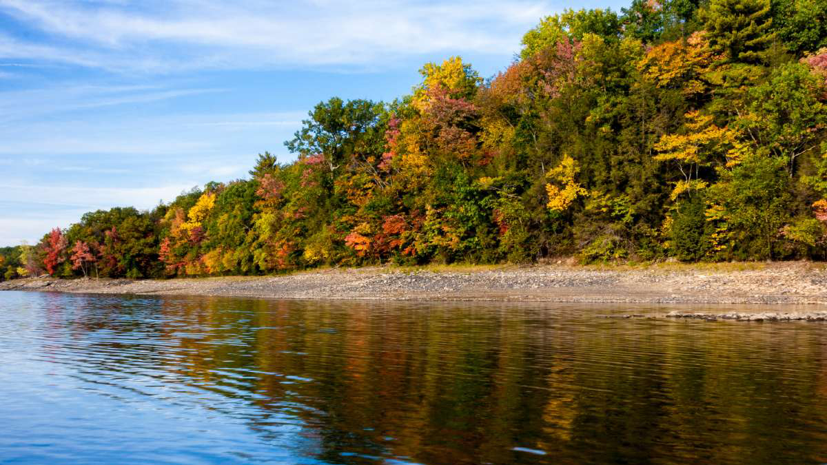  Scranton has many ways to view the foliage, from the banks of Lake Scranton to train tours through the mountains. (Vlad/Flickr) 