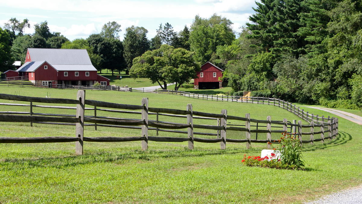  The Barn at Springbrook Farm in West Chester, which provides a camp for children with disabilities, is threatened with closure. The driveway is one of the 33 contested zoning and usage points. (Emma Lee/WHYY) 