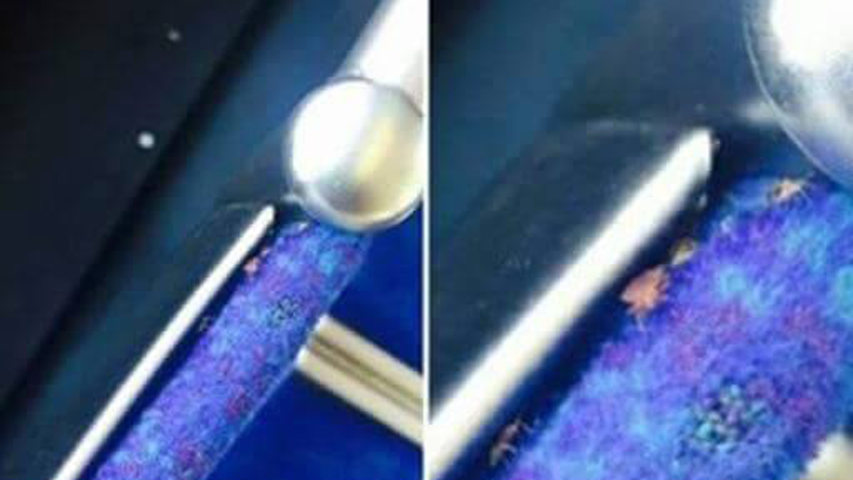  (Image via People of SEPTA/Facebook) 