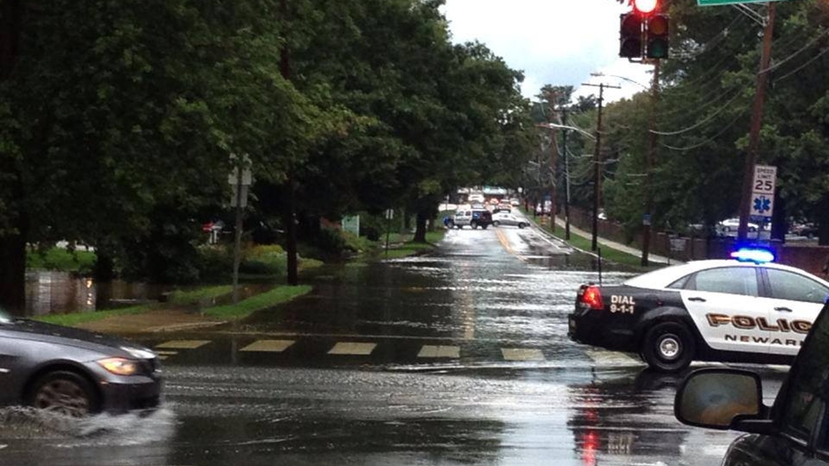  (Photo courtesy of Newark Police Dept.)  