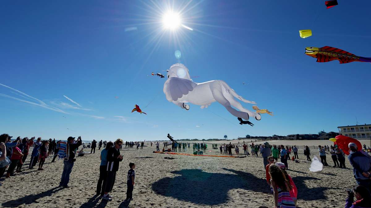 The crowd cheered as Pegasus went up at last year's festival.  (Bastiaan Slabbers/for NewsWorks)