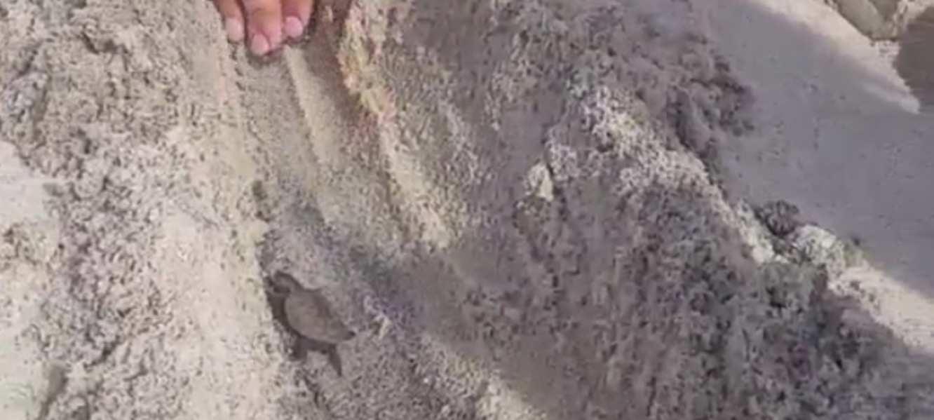  A video frame from a video posted on Instagram and tagged #JSHN by @emmily0314. 