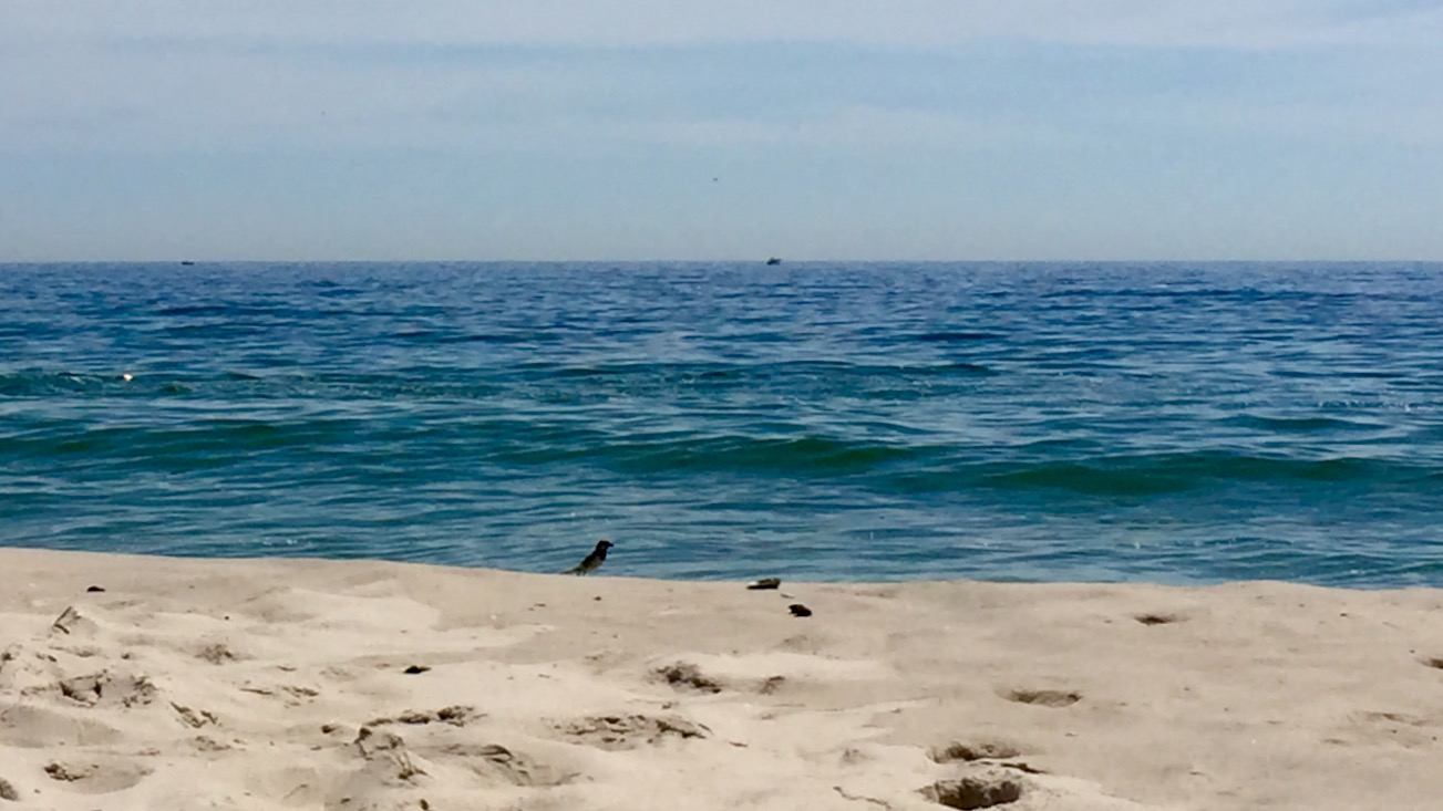 South Seaside Park in July 2016. (Photo: Justin Auciello/for NewsWorks)